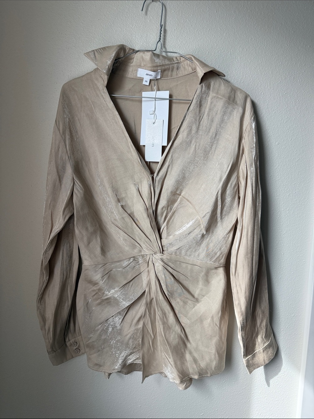 Shimmery Taupe V-Neck Blouse